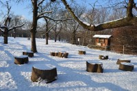 /album/fotogalerie-toulcuv-dvur-ekologicke-centrum-a-farma/toulcuv-dvur5-jpg/